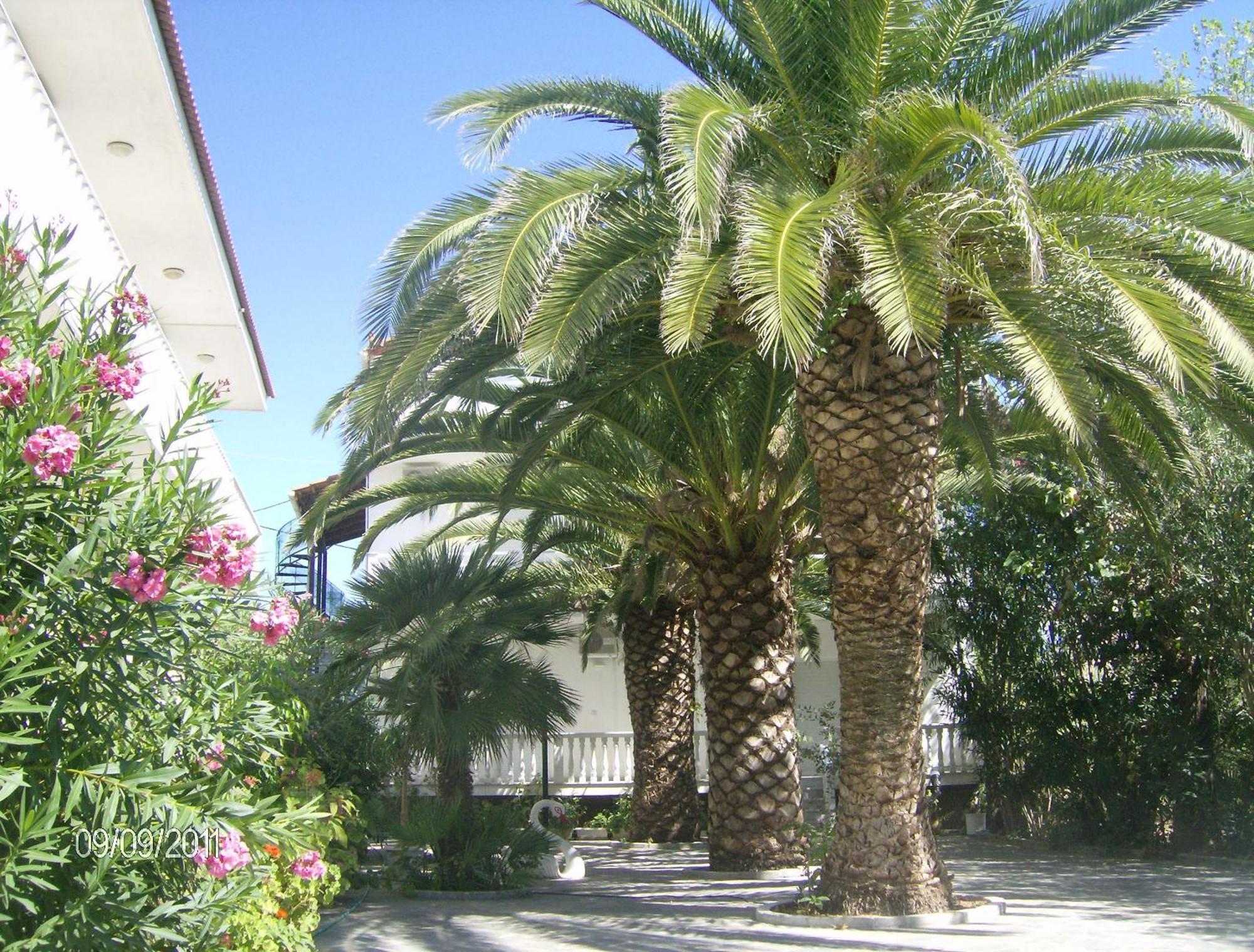 Villa Daizy Boutique Apartments Laganas Exterior foto